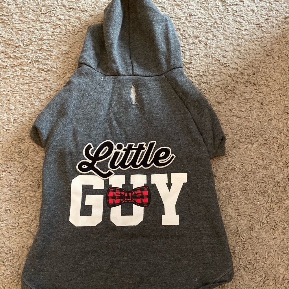 Dog hoodie